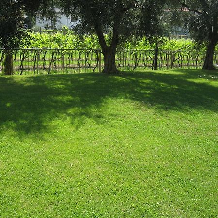 Casa Carla Aparthotel Torbole Sul Garda Bagian luar foto