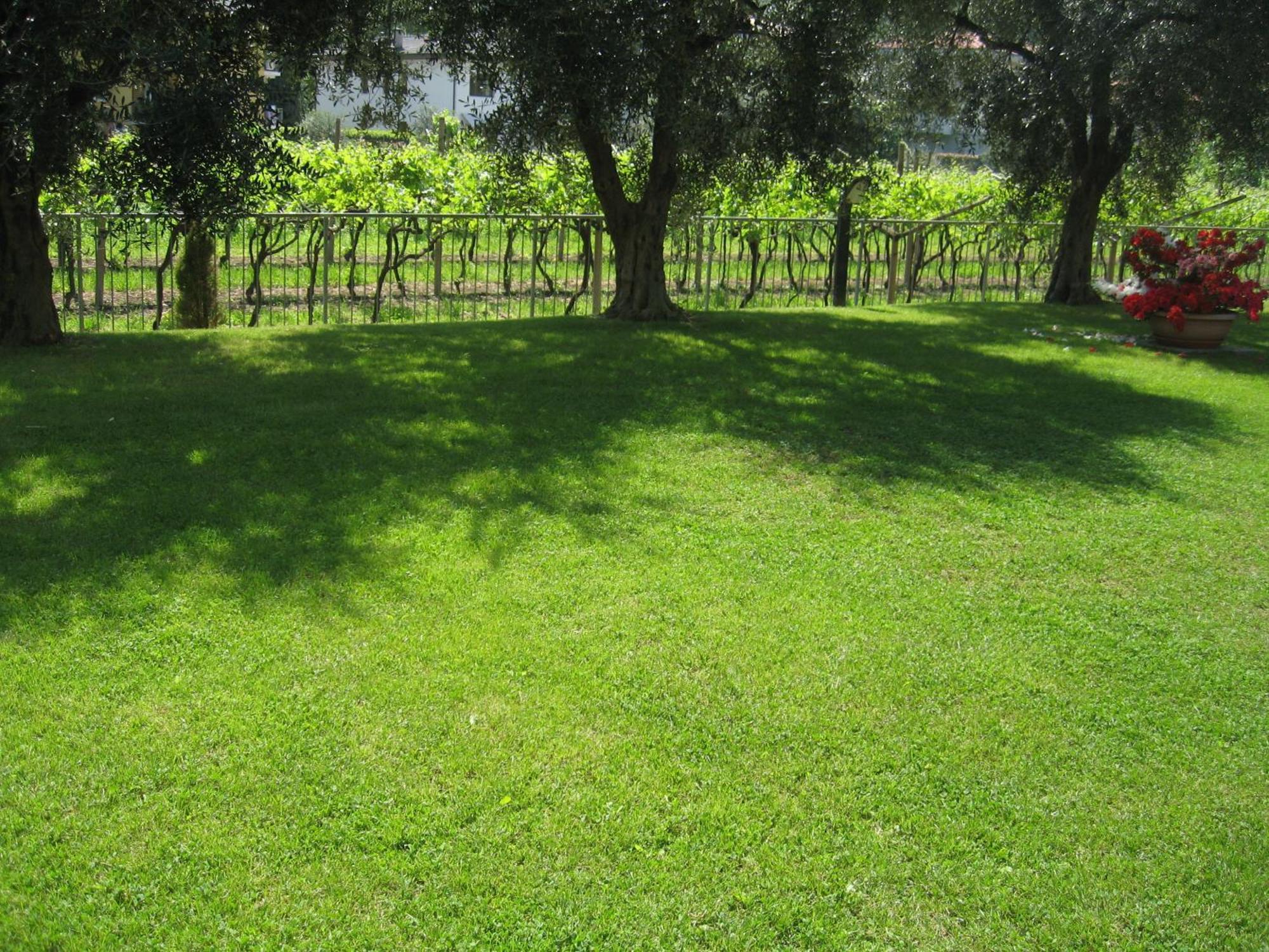 Casa Carla Aparthotel Torbole Sul Garda Bagian luar foto
